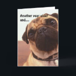 Funny Cute Humorisme Pug Dog Birthday Card Kaart<br><div class="desc">"Nog een jaar ouder en... ..je bent nog steeds zo schattig als een kreukbeugel!" Een glimlach op Happy Birthday/Happy Father's Day-kaart om te sturen! Wijzig de tekst op maat van uw behoeften of laat deze op de juiste manier achter!</div>