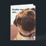 Funny Cute Humorisme Pug Dog Birthday Card Kaart<br><div class="desc">"Nog een jaar ouder en... ..je bent nog steeds zo schattig als een kreukbeugel!" Een glimlach op Happy Birthday/Happy Father's Day-kaart om te sturen! Wijzig de tekst op maat van uw behoeften of laat deze op de juiste manier achter!</div>