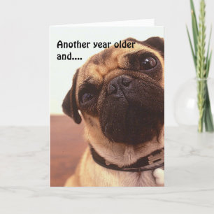 Funny Cute Humorisme Pug Dog Birthday Card Kaart
