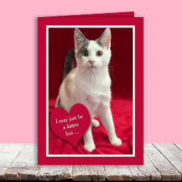 Funny Cute Kitten Cat Valentines Puns Card Feestdagen Kaart