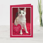 Funny Cute Kitten Cat Valentines Puns Card Feestdagen Kaart (Voorkant)