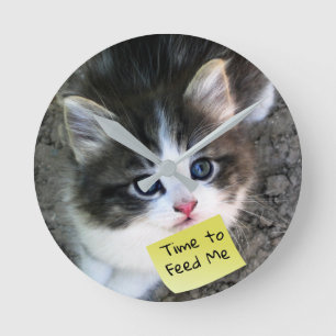 FUNNY! Cute Kitten met  tekst Ronde Klok