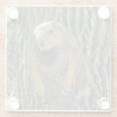 Funny Cute Lazy Squirrel on Tree Branch Glazen Onderzetter (Achterkant)