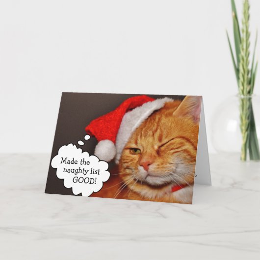 Funny Cute Merry kerstvakanay Cat Kaart (Voorkant)