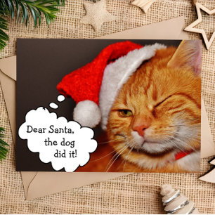 Funny Cute Merry kerstvakanay Cat Kaart