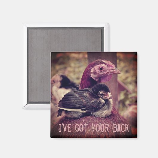 Funny Cute Moeder Hen en Chick Magneet (Voorkant / Achterkant)