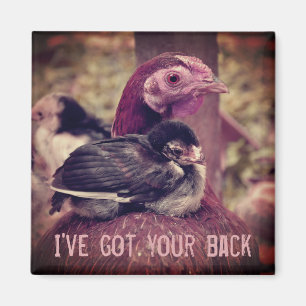 Funny Cute Moeder Hen en Chick Magneet