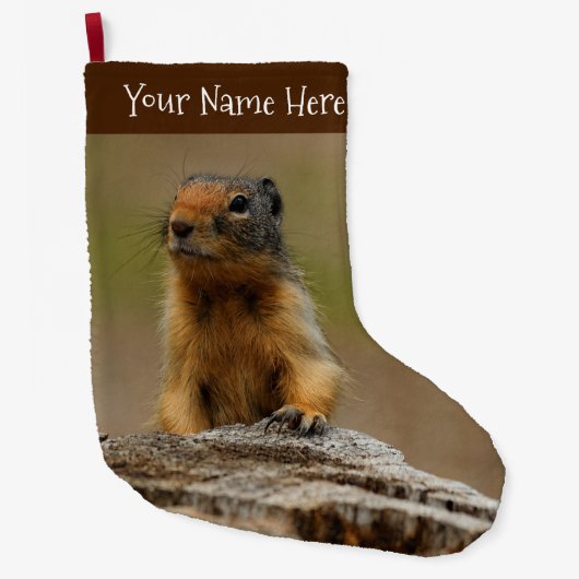 Funny Cute Saucy Columbian Ground Squirrel Grote Kerstsok (Voorkant)