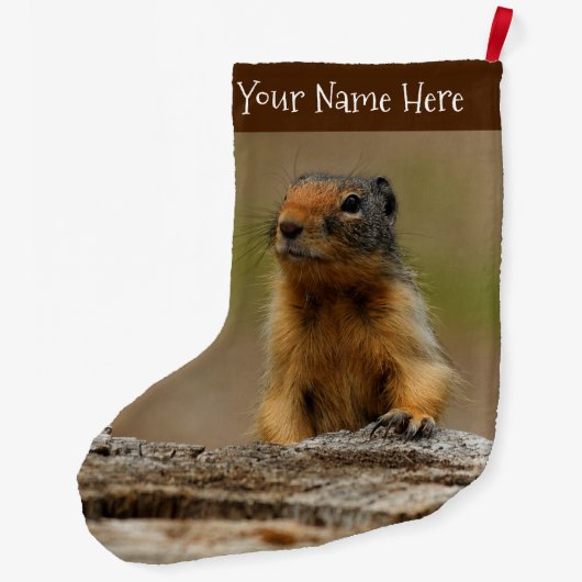 Funny Cute Saucy Columbian Ground Squirrel Grote Kerstsok (Achterkant)