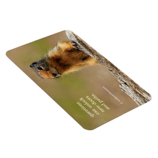 Funny Cute Saucy Columbian Ground Squirrel Magneet (Rechterzijde)