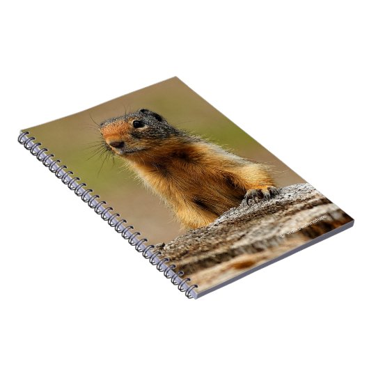 Funny Cute Saucy Columbian Ground Squirrel Notitieboek (Rechterzijde)