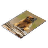 Funny Cute Saucy Columbian Ground Squirrel Notitieboek (Linkerzijde)