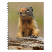 Funny Cute Saucy Columbian Ground Squirrel Notitieboek (Voorkant)
