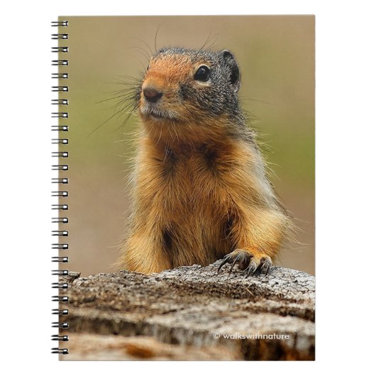 Funny Cute Saucy Columbian Ground Squirrel Notitieboek (Voorkant)