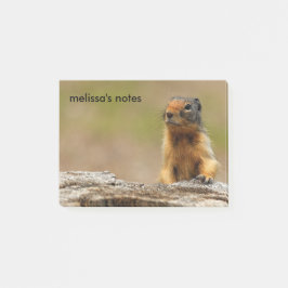 Funny Cute Saucy Columbian Ground Squirrel Post-it® Notes