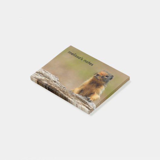 Funny Cute Saucy Columbian Ground Squirrel Post-it® Notes (Schuin)
