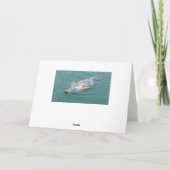 Funny Cute Seal Happy Birthday Kaart (Achterkant)