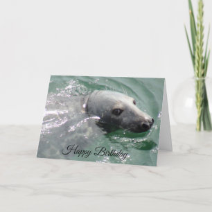 Funny Cute Seal Happy Birthday Kaart