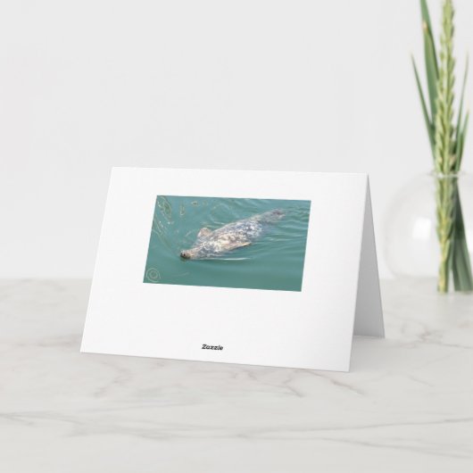 Funny Cute Seal Happy Birthday Kaart (Achterkant)