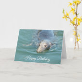 Funny Cute Seal Happy Birthday Kaart (Gele Bloem)
