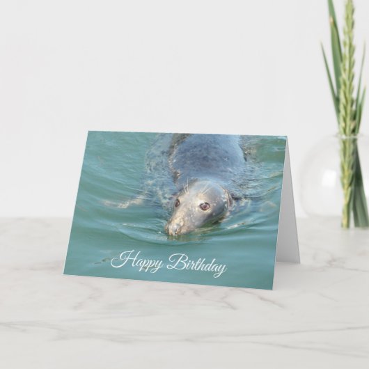 Funny Cute Seal Happy Birthday Kaart (Voorkant)