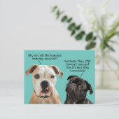 Funny Cute Sit/Blijf honden tijdens pandemie Geen  Briefkaart (Staand voorkant)