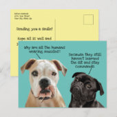 Funny Cute Sit/Blijf honden tijdens pandemie Geen  Briefkaart (Voorkant / Achterkant)