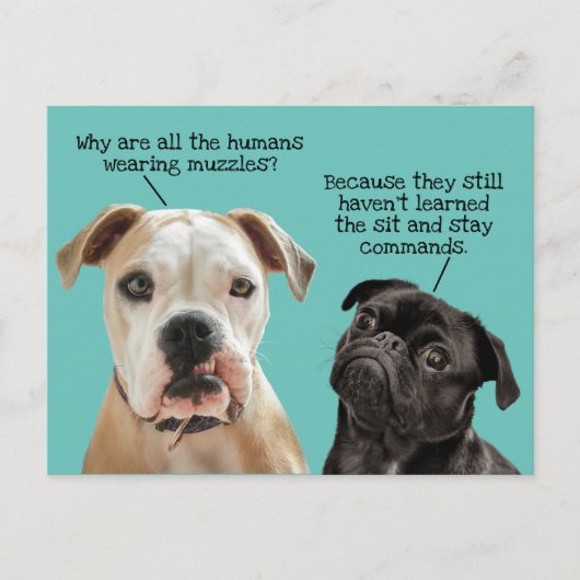 Funny Cute Sit/Blijf honden tijdens pandemie Geen  Briefkaart (Voorkant)