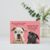 Funny Cute Sit/Blijf honden tijdens pandemie Geen  Briefkaart (Staand voorkant)