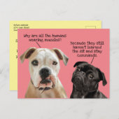 Funny Cute Sit/Blijf honden tijdens pandemie Geen  Briefkaart (Voorkant / Achterkant)