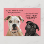 Funny Cute Sit/Blijf honden tijdens pandemie Geen  Briefkaart (Voorkant)