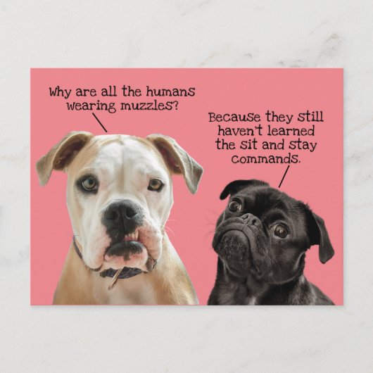 Funny Cute Sit/Blijf honden tijdens pandemie Geen  Briefkaart (Voorkant)
