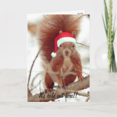 Funny Cute Squirrel Merry Kerstmis Feestdagen Kaart (Voorkant)
