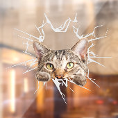 Funny Cute Sticker Cat uit gebroken glas (Vel 2)