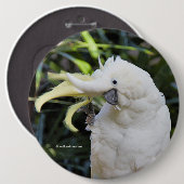 Funny Cute Sulfur-Crested Cockattogolven Hallo Ronde Button 6,0 Cm (Voorkant /achterkant)