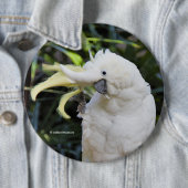 Funny Cute Sulfur-Crested Cockattogolven Hallo Ronde Button 6,0 Cm (In situ)