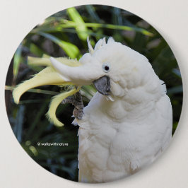 Funny Cute Sulfur-Crested Cockattogolven Hallo Ronde Button 6,0 Cm