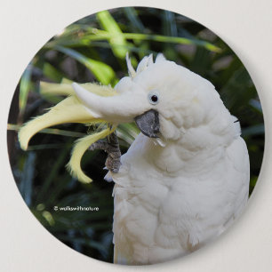 Funny Cute Sulfur-Crested Cockattogolven Hallo Ronde Button 6,0 Cm