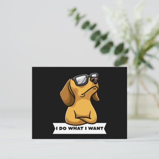 Funny Dachhund dog grappig Gift Idea Briefkaart (Staand voorkant)
