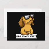Funny Dachhund dog grappig Gift Idea Briefkaart (Voorkant / Achterkant)