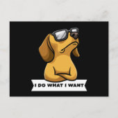 Funny Dachhund dog grappig Gift Idea Briefkaart (Voorkant)