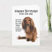 Funny Dachshund Birthday Card Kaart (Voorkant)