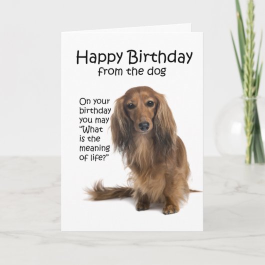 Funny Dachshund Birthday Card Kaart (Voorkant)