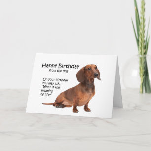 Funny Dachshund Birthday Card Kaart