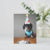 Funny Dachshund Dog Birthday Card Briefkaart (Staand voorkant)