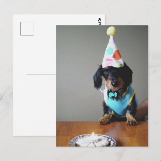 Funny Dachshund Dog Birthday Card Briefkaart (Voorkant / Achterkant)