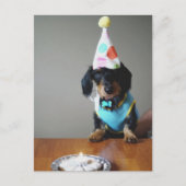 Funny Dachshund Dog Birthday Card Briefkaart (Voorkant)
