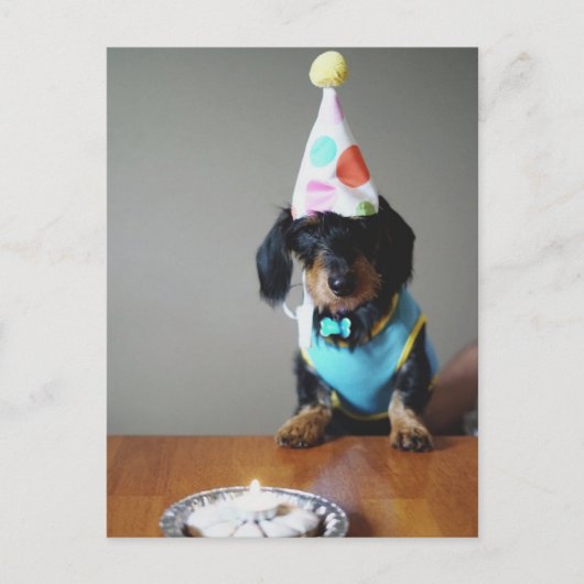 Funny Dachshund Dog Birthday Card Briefkaart (Voorkant)