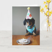 Funny Dachshund Dog Birthday Card Kaart (Gele Bloem)