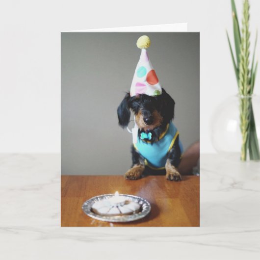 Funny Dachshund Dog Birthday Card Kaart (Voorkant)